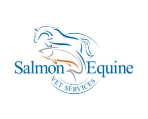 Logo design for Salmon Equine Vet Services, featuring an intertwined horse and fish illustration in blue and orange—designed by Inspiring Design Co. for a veterinary clinic.